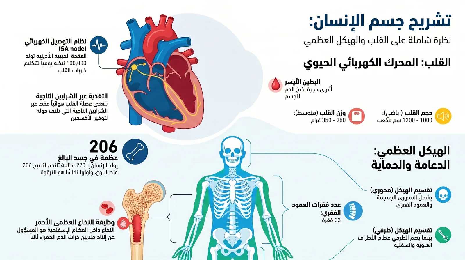 إنفوجرافيك علوم وبصريات