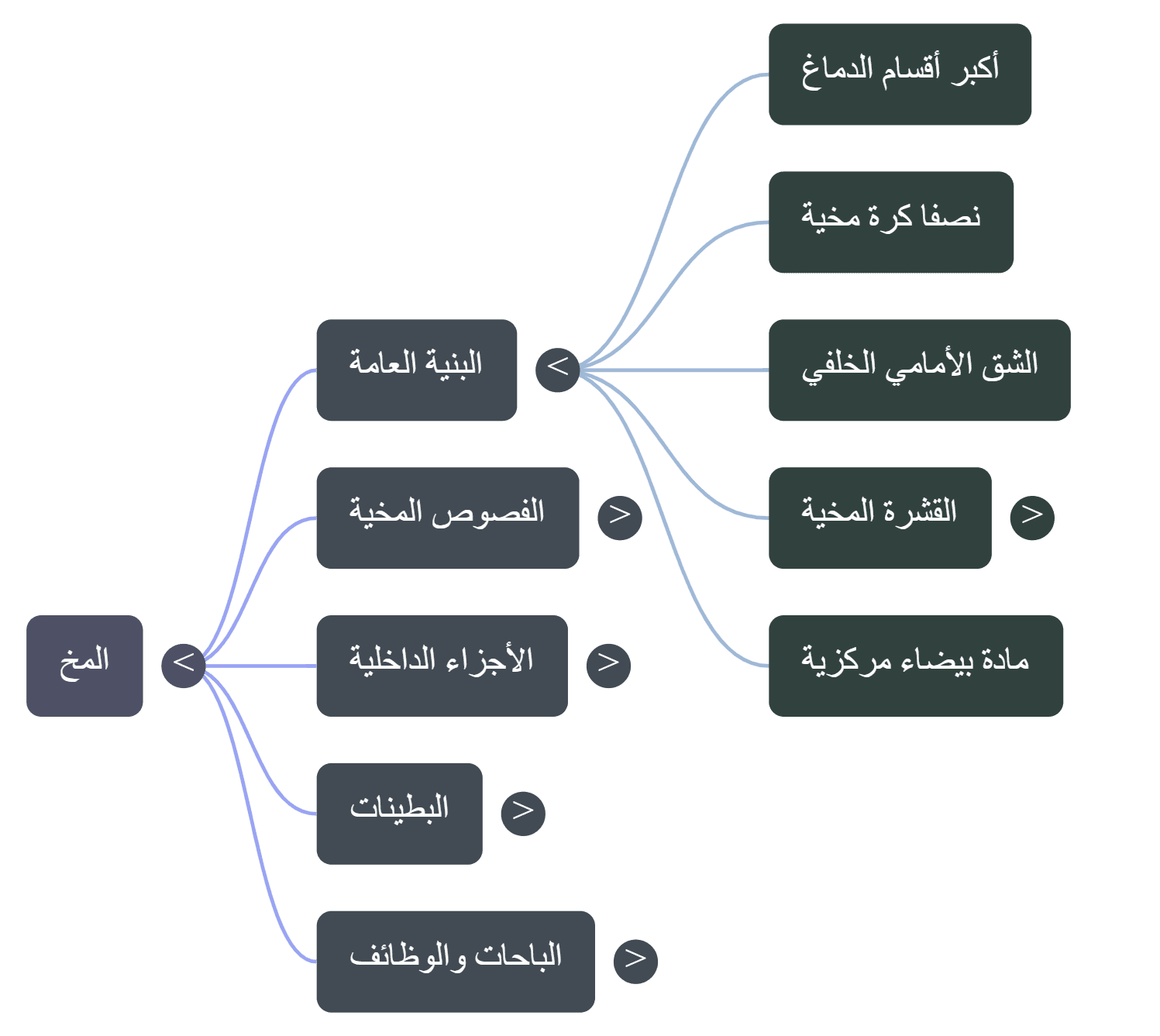 خريطة ذهنية تفصيلية للدرس